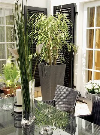 Im Park デュッセルドルフ